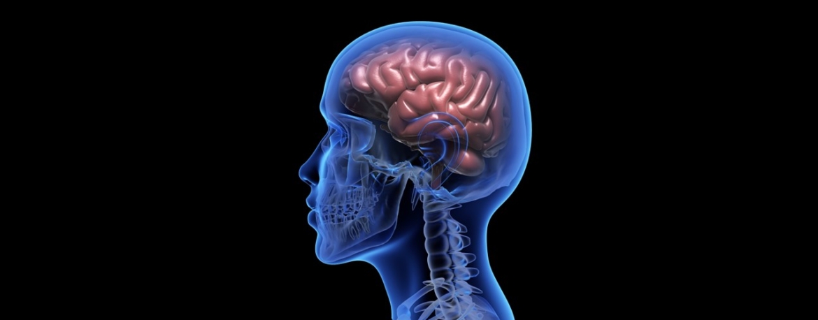 Actualizaciones: Hipotensión Intracraneana Espontánea